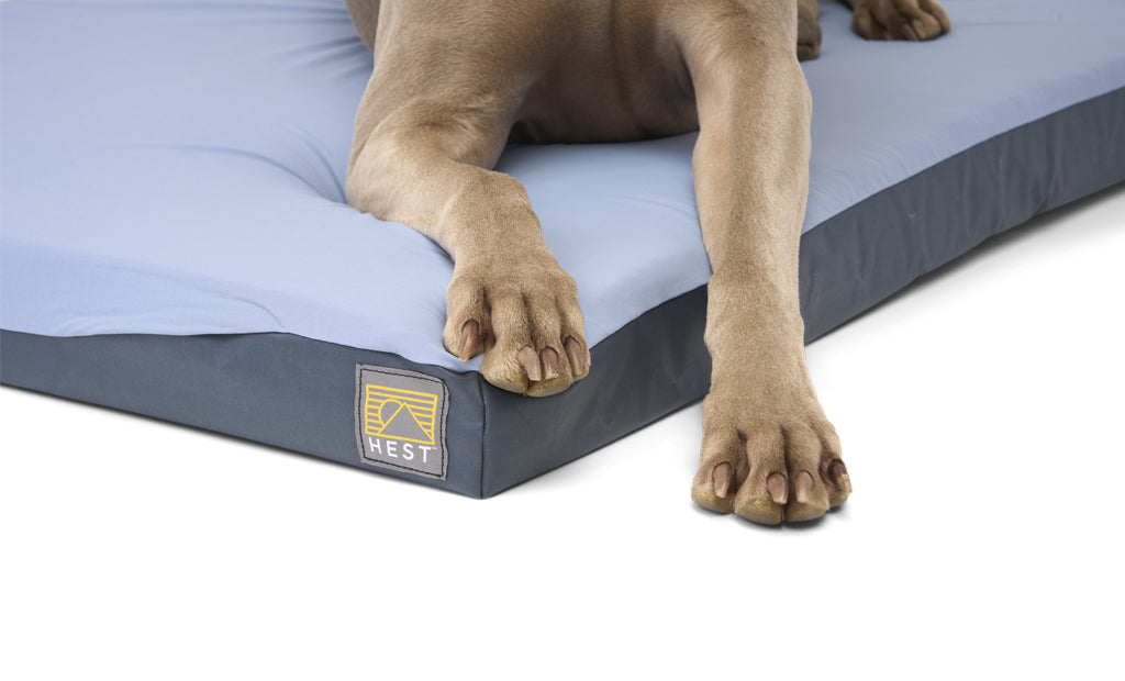 HEST Friend Dog Bed